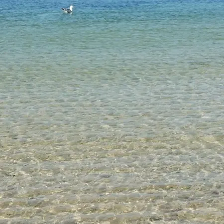 весела ваканция Διαμέρισμα Kiten (Burgas)